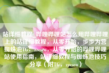 站详细教程_哔哩哔哩站怎么用哔哩哔哩上的站详细教程，从零开始，步步为营蜘蛛池TG：zzcseo，从零开始的哔哩哔哩站使用指南，站详细教程与蜘蛛池技巧分享（附TG，zzcseo）