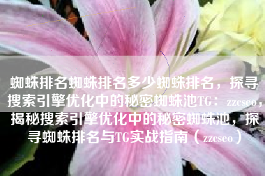 蜘蛛排名蜘蛛排名多少蜘蛛排名，探寻搜索引擎优化中的秘密蜘蛛池TG：zzcseo，揭秘搜索引擎优化中的秘密蜘蛛池，探寻蜘蛛排名与TG实战指南（zzcseo）