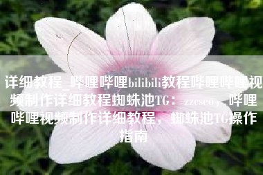 详细教程_哔哩哔哩bilibili教程哔哩哔哩视频制作详细教程蜘蛛池TG：zzcseo，哔哩哔哩视频制作详细教程，蜘蛛池TG操作指南