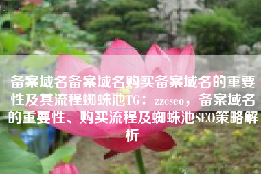 备案域名备案域名购买备案域名的重要性及其流程蜘蛛池TG：zzcseo，备案域名的重要性、购买流程及蜘蛛池SEO策略解析
