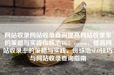 网站收录网站收录查询提高网站收录率的策略与实践蜘蛛池TG：zzcseo，提高网站收录率的策略与实践，蜘蛛池SEO技巧与网站收录查询指南