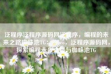 泛程序泛程序源码网泛程序，编程的未来之路蜘蛛池TG：zzcseo，泛程序源码网，探索编程未来之路与蜘蛛池TG