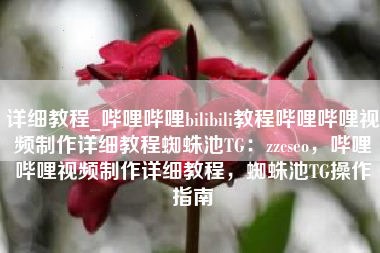 详细教程_哔哩哔哩bilibili教程哔哩哔哩视频制作详细教程蜘蛛池TG：zzcseo，哔哩哔哩视频制作详细教程，蜘蛛池TG操作指南
