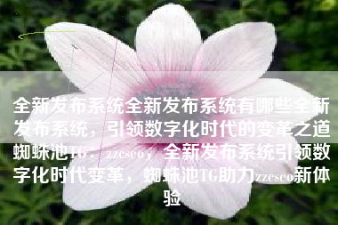 全新发布系统全新发布系统有哪些全新发布系统，引领数字化时代的变革之道蜘蛛池TG：zzcseo，全新发布系统引领数字化时代变革，蜘蛛池TG助力zzcseo新体验