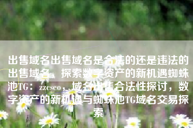 出售域名出售域名是合法的还是违法的出售域名，探索数字资产的新机遇蜘蛛池TG：zzcseo，域名出售合法性探讨，数字资产的新机遇与蜘蛛池TG域名交易探索