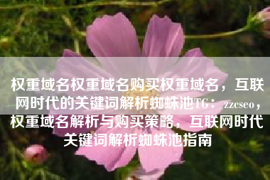权重域名权重域名购买权重域名，互联网时代的关键词解析蜘蛛池TG：zzcseo，权重域名解析与购买策略，互联网时代关键词解析蜘蛛池指南