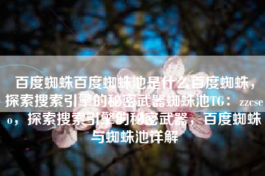 百度蜘蛛百度蜘蛛池是什么百度蜘蛛，探索搜索引擎的秘密武器蜘蛛池TG：zzcseo，探索搜索引擎的秘密武器，百度蜘蛛与蜘蛛池详解