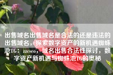 出售域名出售域名是合法的还是违法的出售域名，探索数字资产的新机遇蜘蛛池TG：zzcseo，域名出售合法性探讨，数字资产新机遇与蜘蛛池TG的奥秘
