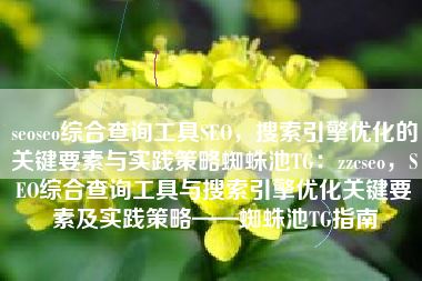 seoseo综合查询工具SEO，搜索引擎优化的关键要素与实践策略蜘蛛池TG：zzcseo，SEO综合查询工具与搜索引擎优化关键要素及实践策略——蜘蛛池TG指南