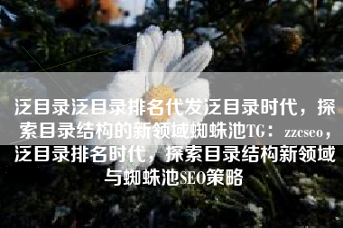 泛目录泛目录排名代发泛目录时代，探索目录结构的新领域蜘蛛池TG：zzcseo，泛目录排名时代，探索目录结构新领域与蜘蛛池SEO策略