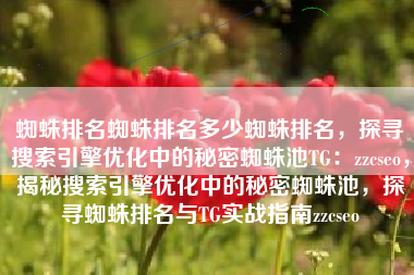 蜘蛛排名蜘蛛排名多少蜘蛛排名，探寻搜索引擎优化中的秘密蜘蛛池TG：zzcseo，揭秘搜索引擎优化中的秘密蜘蛛池，探寻蜘蛛排名与TG实战指南zzcseo