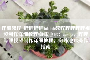 详细教程_哔哩哔哩bilibili教程哔哩哔哩视频制作详细教程蜘蛛池TG：zzcseo，哔哩哔哩视频制作详细教程，蜘蛛池TG操作指南