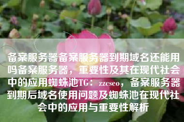 备案服务器备案服务器到期域名还能用吗备案服务器，重要性及其在现代社会中的应用蜘蛛池TG：zzcseo，备案服务器到期后域名使用问题及蜘蛛池在现代社会中的应用与重要性解析