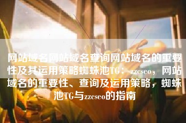 网站域名网站域名查询网站域名的重要性及其运用策略蜘蛛池TG：zzcseo，网站域名的重要性、查询及运用策略，蜘蛛池TG与zzcseo的指南