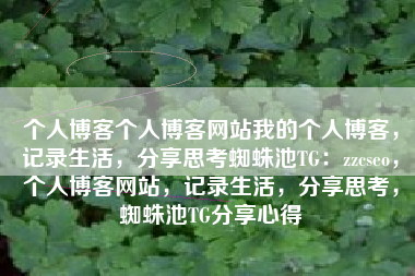 个人博客个人博客网站我的个人博客，记录生活，分享思考蜘蛛池TG：zzcseo，个人博客网站，记录生活，分享思考，蜘蛛池TG分享心得