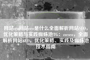 网站seo网站seo是什么全面解析网站SEO，优化策略与实践蜘蛛池TG：zzcseo，全面解析网站SEO，优化策略、实践及蜘蛛池技术指南
