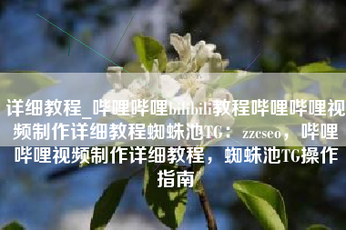 详细教程_哔哩哔哩bilibili教程哔哩哔哩视频制作详细教程蜘蛛池TG：zzcseo，哔哩哔哩视频制作详细教程，蜘蛛池TG操作指南
