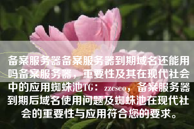 备案服务器备案服务器到期域名还能用吗备案服务器，重要性及其在现代社会中的应用蜘蛛池TG：zzcseo，备案服务器到期后域名使用问题及蜘蛛池在现代社会的重要性与应用符合您的要求。