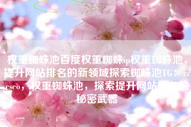权重蜘蛛池百度权重蜘蛛ip权重蜘蛛池，提升网站排名的新领域探索蜘蛛池TG：zzcseo，权重蜘蛛池，探索提升网站排名的秘密武器
