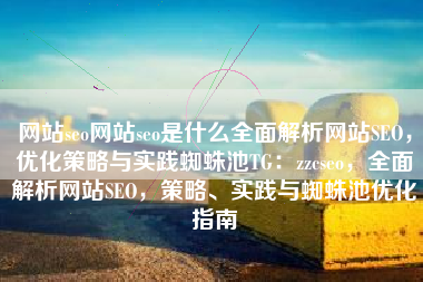 网站seo网站seo是什么全面解析网站SEO，优化策略与实践蜘蛛池TG：zzcseo，全面解析网站SEO，策略、实践与蜘蛛池优化指南