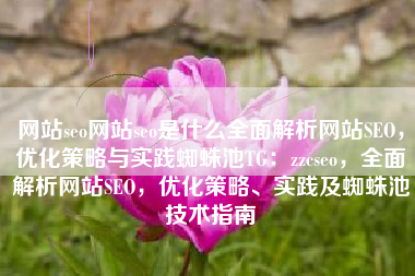 网站seo网站seo是什么全面解析网站SEO，优化策略与实践蜘蛛池TG：zzcseo，全面解析网站SEO，优化策略、实践及蜘蛛池技术指南