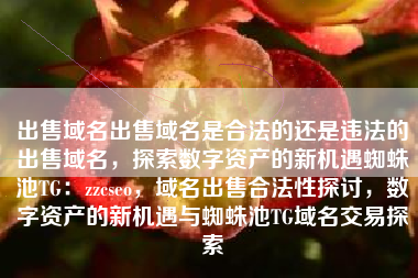 出售域名出售域名是合法的还是违法的出售域名，探索数字资产的新机遇蜘蛛池TG：zzcseo，域名出售合法性探讨，数字资产的新机遇与蜘蛛池TG域名交易探索