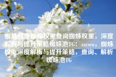 蜘蛛权重蜘蛛权重查询蜘蛛权重，深度解析与提升策略蜘蛛池TG：zzcseo，蜘蛛权重深度解析与提升策略，查询、解析蜘蛛池TG