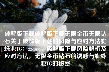 破解版下载破解版下载无限金币无限钻石关于破解版下载的风险与应对方法蜘蛛池TG：zzcseo，破解版下载风险解析及应对方法，无限金币钻石的诱惑与蜘蛛池TG的秘密