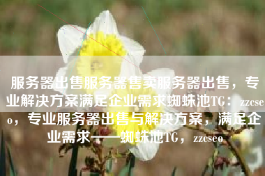 服务器出售服务器售卖服务器出售，专业解决方案满足企业需求蜘蛛池TG：zzcseo，专业服务器出售与解决方案，满足企业需求——蜘蛛池TG，zzcseo