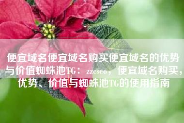 便宜域名便宜域名购买便宜域名的优势与价值蜘蛛池TG：zzcseo，便宜域名购买，优势、价值与蜘蛛池TG的使用指南