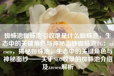 蜘蛛池蜘蛛池引收录是什么蜘蛛池，生态中的关键角色与神秘面纱蜘蛛池TG：zzcseo，揭秘蜘蛛池，生态中的关键角色与神秘面纱——关于SEO收录的蜘蛛池介绍及zzcseo解析