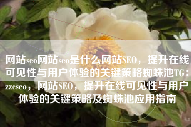 网站seo网站seo是什么网站SEO，提升在线可见性与用户体验的关键策略蜘蛛池TG：zzcseo，网站SEO，提升在线可见性与用户体验的关键策略及蜘蛛池应用指南