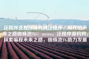 泛程序泛程序源码网泛程序，编程的未来之路蜘蛛池TG：zzcseo，泛程序源码网，探索编程未来之路，蜘蛛池TG助力发展