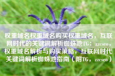 权重域名权重域名购买权重域名，互联网时代的关键词解析蜘蛛池TG：zzcseo，权重域名解析与购买策略，互联网时代关键词解析蜘蛛池指南（附TG，zzcseo）