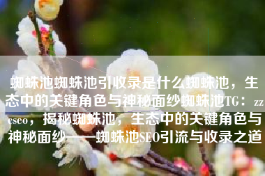 蜘蛛池蜘蛛池引收录是什么蜘蛛池，生态中的关键角色与神秘面纱蜘蛛池TG：zzcseo，揭秘蜘蛛池，生态中的关键角色与神秘面纱——蜘蛛池SEO引流与收录之道