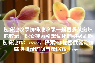 蜘蛛池收录蜘蛛池收录一般要多久蜘蛛池收录，探索搜索引擎优化的秘密武器蜘蛛池TG：zzcseo，探索SEO秘密武器，蜘蛛池收录时间与策略TG，zzcseo