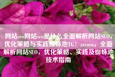 网站seo网站seo是什么全面解析网站SEO，优化策略与实践蜘蛛池TG：zzcseo，全面解析网站SEO，优化策略、实践及蜘蛛池技术指南