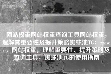 网站权重网站权重查询工具网站权重，理解其重要性及提升策略蜘蛛池TG：zzcseo，网站权重，理解重要性、提升策略及查询工具，蜘蛛池TG的使用指南