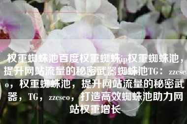 权重蜘蛛池百度权重蜘蛛ip权重蜘蛛池，提升网站流量的秘密武器蜘蛛池TG：zzcseo，权重蜘蛛池，提升网站流量的秘密武器，TG，zzcseo，打造高效蜘蛛池助力网站权重增长