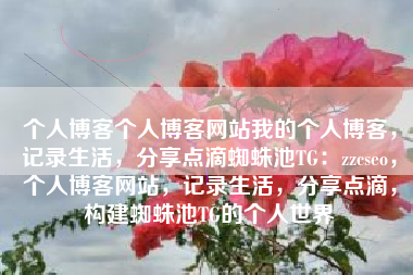 个人博客个人博客网站我的个人博客，记录生活，分享点滴蜘蛛池TG：zzcseo，个人博客网站，记录生活，分享点滴，构建蜘蛛池TG的个人世界