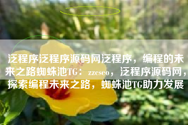 泛程序泛程序源码网泛程序，编程的未来之路蜘蛛池TG：zzcseo，泛程序源码网，探索编程未来之路，蜘蛛池TG助力发展