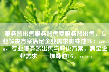 服务器出售服务器售卖服务器出售，专业解决方案满足企业需求蜘蛛池TG：zzcseo，专业服务器出售与解决方案，满足企业需求——蜘蛛池TG，zzcseo