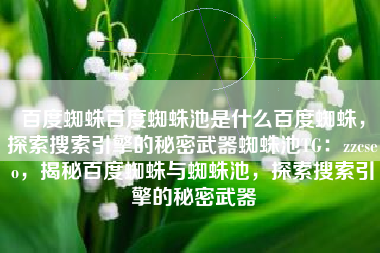 百度蜘蛛百度蜘蛛池是什么百度蜘蛛，探索搜索引擎的秘密武器蜘蛛池TG：zzcseo，揭秘百度蜘蛛与蜘蛛池，探索搜索引擎的秘密武器