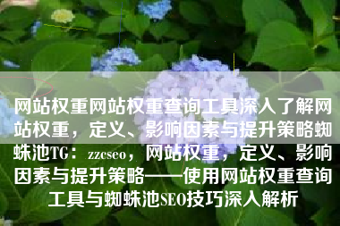 网站权重网站权重查询工具深入了解网站权重，定义、影响因素与提升策略蜘蛛池TG：zzcseo，网站权重，定义、影响因素与提升策略——使用网站权重查询工具与蜘蛛池SEO技巧深入解析