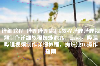 详细教程_哔哩哔哩bilibili教程哔哩哔哩视频制作详细教程蜘蛛池TG：zzcseo，哔哩哔哩视频制作详细教程，蜘蛛池TG操作指南