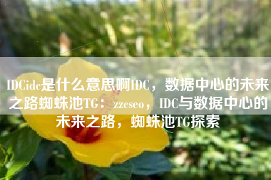 IDCidc是什么意思啊IDC，数据中心的未来之路蜘蛛池TG：zzcseo，IDC与数据中心的未来之路，蜘蛛池TG探索
