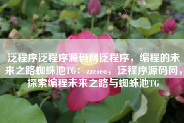 泛程序泛程序源码网泛程序，编程的未来之路蜘蛛池TG：zzcseo，泛程序源码网，探索编程未来之路与蜘蛛池TG