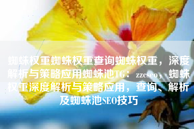 蜘蛛权重蜘蛛权重查询蜘蛛权重，深度解析与策略应用蜘蛛池TG：zzcseo，蜘蛛权重深度解析与策略应用，查询、解析及蜘蛛池SEO技巧