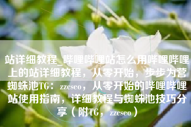 站详细教程_哔哩哔哩站怎么用哔哩哔哩上的站详细教程，从零开始，步步为营蜘蛛池TG：zzcseo，从零开始的哔哩哔哩站使用指南，详细教程与蜘蛛池技巧分享（附TG，zzcseo）