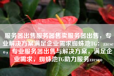 服务器出售服务器售卖服务器出售，专业解决方案满足企业需求蜘蛛池TG：zzcseo，专业服务器出售与解决方案，满足企业需求，蜘蛛池TG助力服务zzcseo